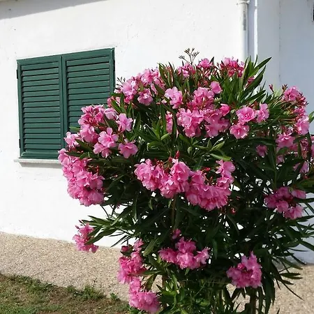 Casa Rural San Blas * Sanjuanejo