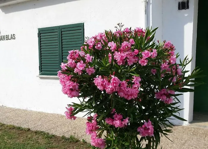 San Blas * Sanjuanejo